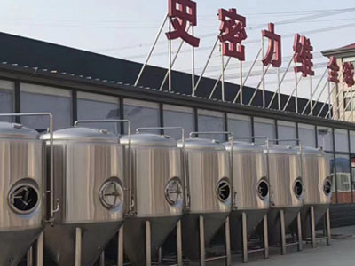 费县精酿啤酒设备厂—如何判断精酿啤酒设备的密封件需要更换？